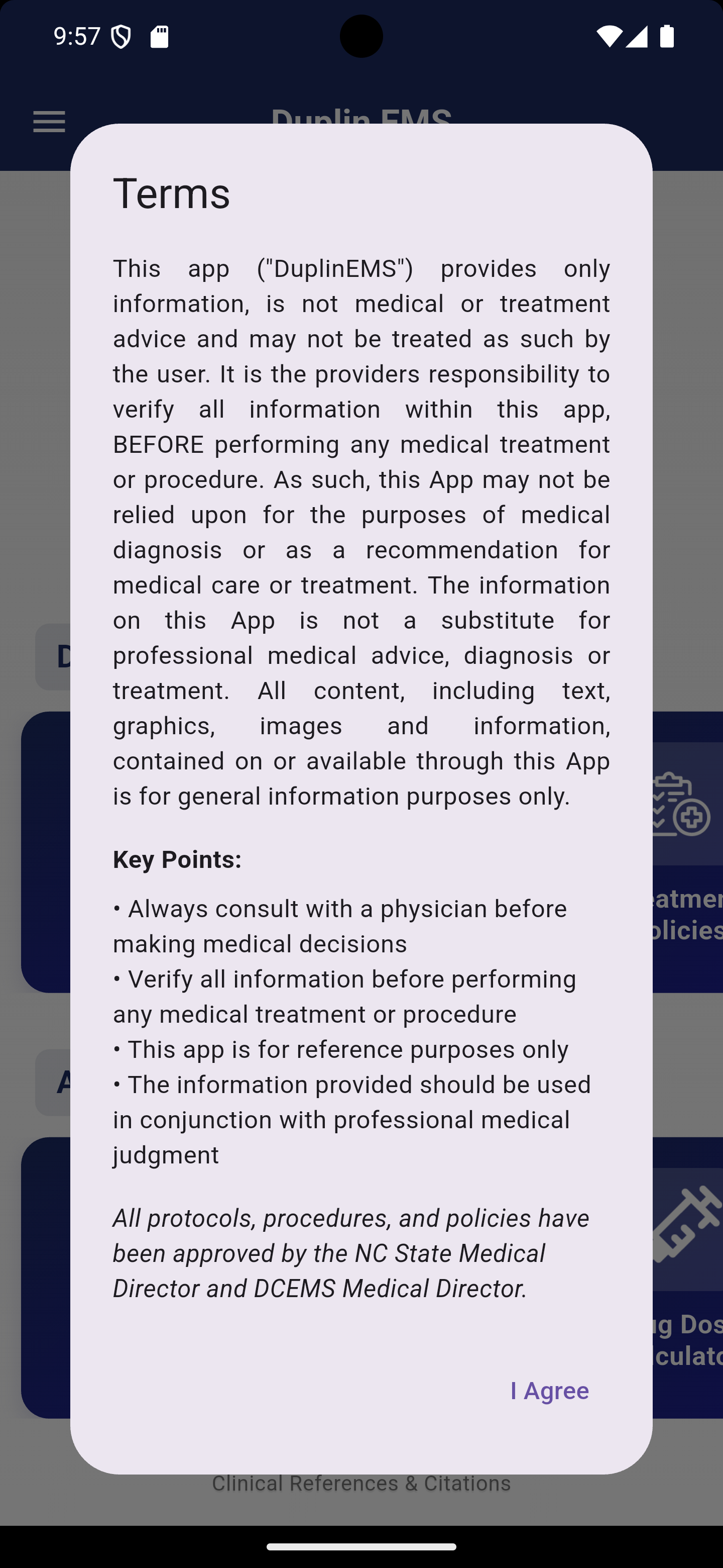 Document Access Interface